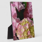 ピンククリームアジサイ黄色ピンクグリーンフローラ フォトプラーク (側面)