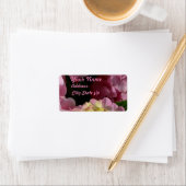 ピンククリームアジサイ黄色ピンクグリーンフローラ ラベル (インサイチュ)