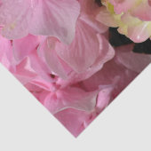 ピンククリームアジサイ黄色ピンクグリーンフローラ 薄葉紙 (詳細)