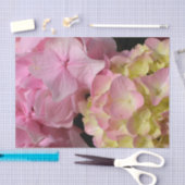 ピンククリームアジサイ黄色ピンクグリーンフローラ 薄葉紙 (クラフト)