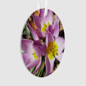 ピンククロキュース春フローラ オーナメント (正面)