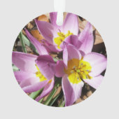 ピンククロキュース春フローラ オーナメント (裏面)