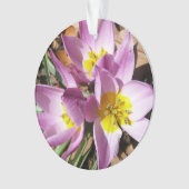 ピンククロキュース春フローラ オーナメント (正面)
