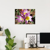 ピンククロキュース春フローラ ポスター (ホームオフィス)