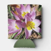 ピンククロキュース春フローラ 缶クーラー (裏面)