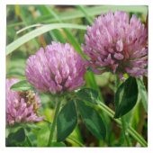 ピンククローバーワイルドフラワー – Trifolium pratense タイル (正面)