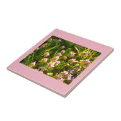 ピンククローバー タイル (側面)