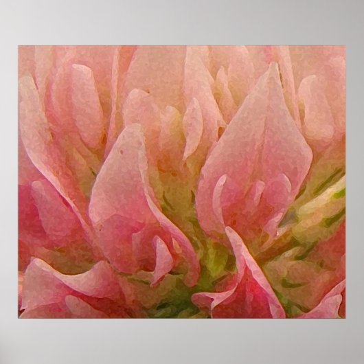 ピンククローバー ポスター (正面)