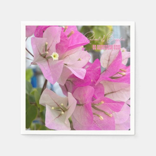ピンクグラデーションのブーゲンビリアまたは紙の花，熱帯 スタンダードカクテルナプキン (正面)