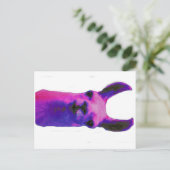 ピンクグラフィックラマ ポストカード (スタンド正面)