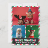 ピンクグリーンレトロメリーウーフマスフォトコラージュ シーズンカード (正面)