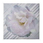 ピンクグレーバラ タイル (正面)