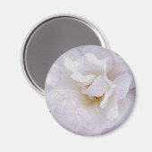 ピンクグレーバラ マグネット (正面/裏面)