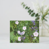ピンクゲラニウムムズパープルカンパヌラDIYポストカード ポストカード (スタンド正面)