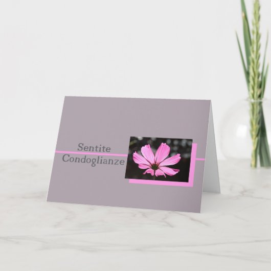 ピンクコスモスイタリアン悔やみや弔慰カード カード (正面)