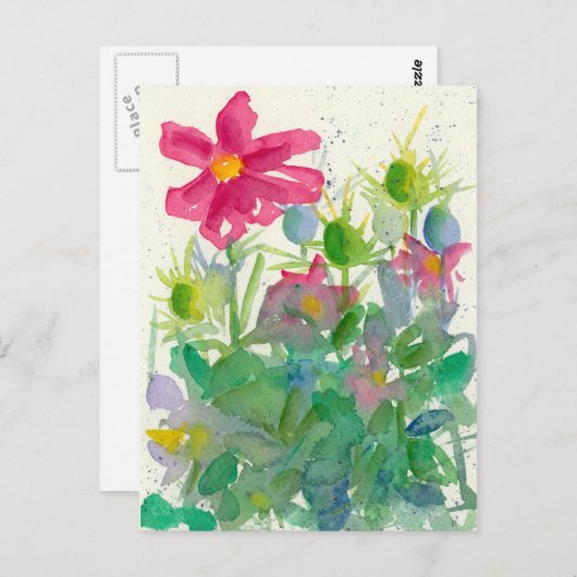 ピンクコスモスニゲラフラワーガーデンウォーター色 ポストカード (正面/裏面)