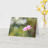 ピンクコスモスフラワーアフタヌーン《写真》ぼけ味 カード (黄色い花)