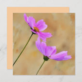 ピンクコスモスフラワーフローラアートフラットノートカード サンキューカード (正面/裏面)