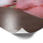 ピンクコッカトゥー フォトプリント            (角)