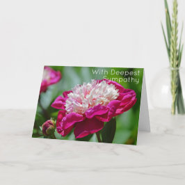 ピンクコテージ牡丹ガーデンフラワー最も深い悔やみや弔慰 カード