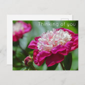 ピンクコテージ牡丹考えるの花の皆 ポストカード (正面/裏面)
