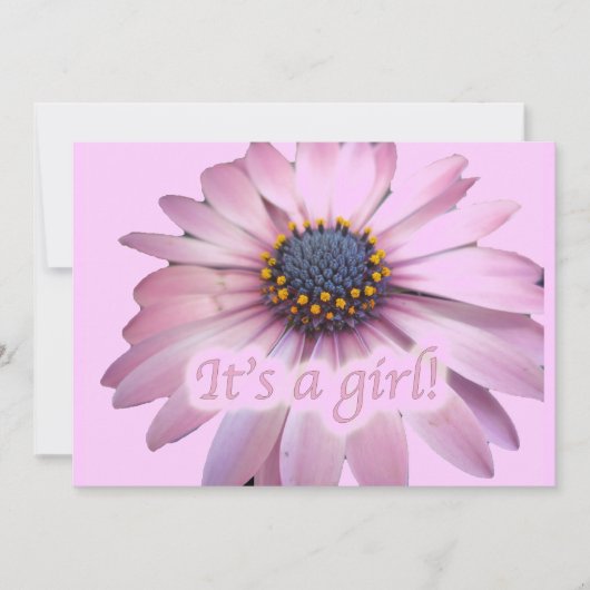 ピンクコレオプシスデイジー女の子ベビー発表 案内状 (正面)