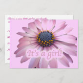 ピンクコレオプシスデイジー女の子ベビー発表 案内状 (正面/裏面)