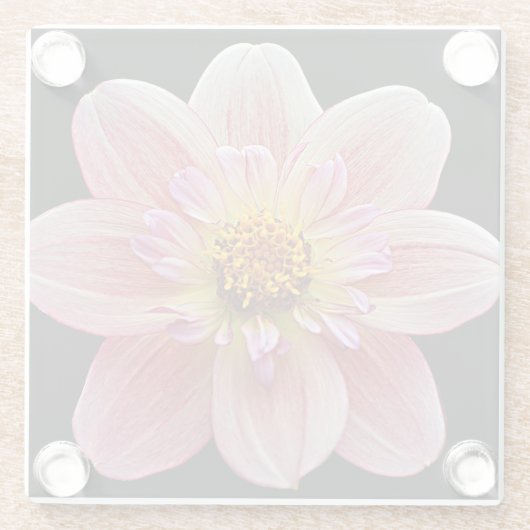 ピンクコレットダリアオンブラックフローラ ガラスコースター (裏面)