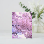 ピンクサクラの桜の花のスマホケース ポストカード (スタンド正面)