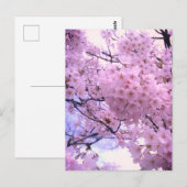 ピンクサクラの桜の花のスマホケース ポストカード (正面/裏面)