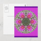 ピンクサボテンの花 ポストカード (正面/裏面)