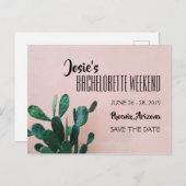 ピンクサボテンバチェロレッテ週末 ポストカード (正面/裏面)