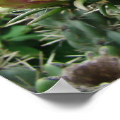 ピンクサボテンプリント ポスター (角)