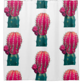 ピンクサボテン写真シャワーカーテン シャワーカーテン