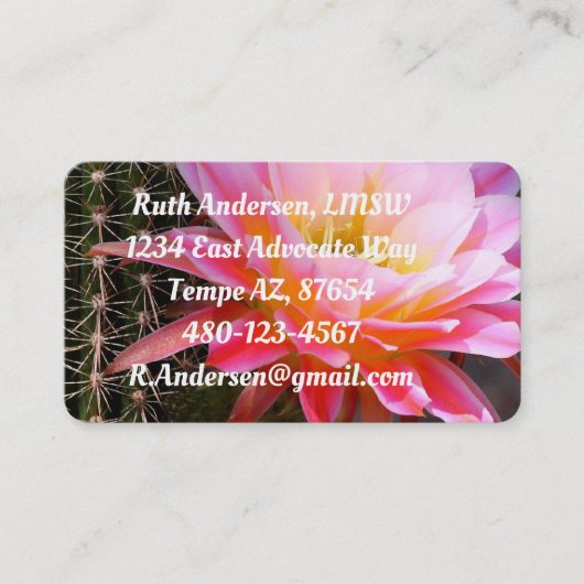 ピンクサボテン開花 名刺 (正面)