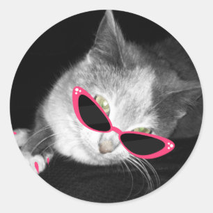 ピンクサングラスシール付き猫 ラウンドシール