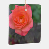 ピンクサンゴバラ自然写真花壇 セラミックオーナメント (右)