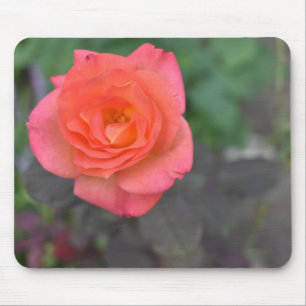 ピンクサンゴバラ自然写真花壇 マウスパッド