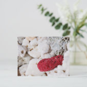 ピンクサンゴ ポストカード (スタンド正面)