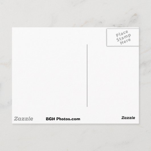 ピンクサンズ ポストカード (裏面)