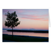 ピンクサンセット (正面横)