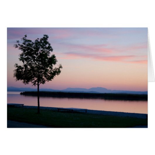 ピンクサンセット (正面横)