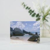 ピンクサンド ポストカード (スタンド正面)