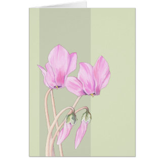 ピンクシクランズグリーンカード