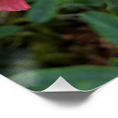 ピンクシャクシャクナゲ開花フローラ ポスター (コーナー)