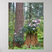 ピンクシャクナゲonツリースタンプフローラ ポスター (正面)