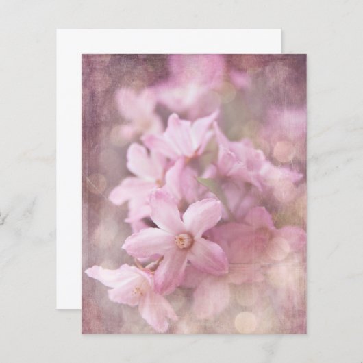 ピンクシャビーの花と《写真》ぼけ味スクラップブックエフェメラ (正面/裏面)