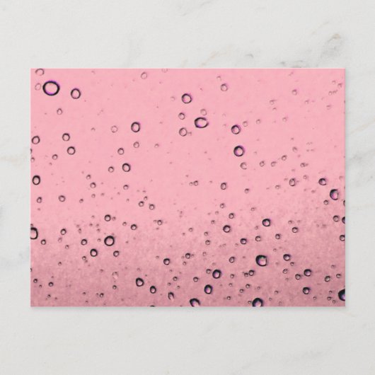 ピンクシャンガニュ葉書 ポストカード (正面)