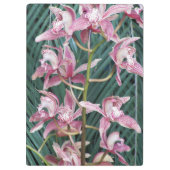 ピンクシンビジウムランのスプレーフローラ クリップボード (裏面)