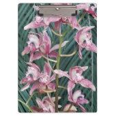 ピンクシンビジウムランのスプレーフローラ クリップボード (正面)